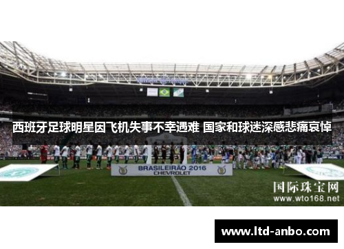 西班牙足球明星因飞机失事不幸遇难 国家和球迷深感悲痛哀悼 西班牙足球明星因飞机失事不幸遇难 国家和球迷深感悲痛哀悼