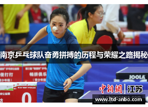 南京乒乓球队奋勇拼搏的历程与荣耀之路揭秘