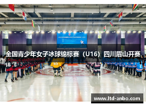 全国青少年女子冰球锦标赛(U16)四川眉山开赛 全国青少年女子冰球锦标赛(U16)四川眉山开赛